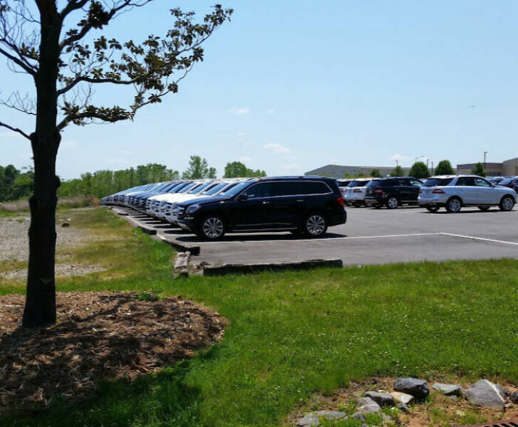 Photos Balancing Perfectly Between Blessed and Cursed