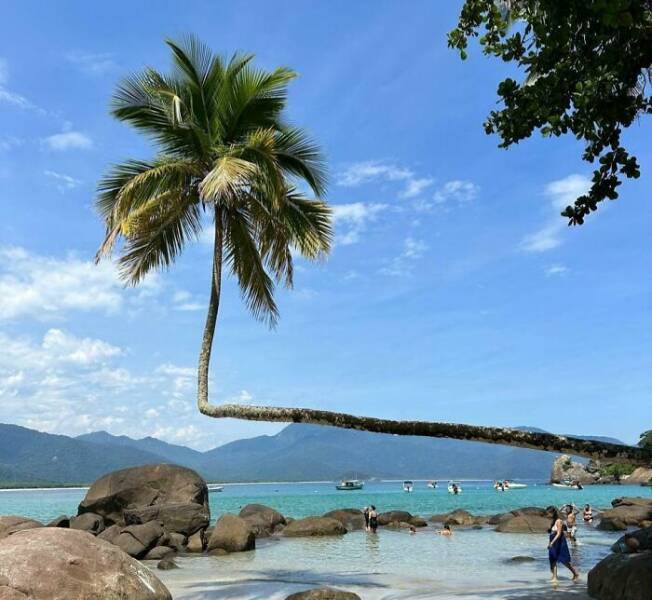 Photos Balancing Perfectly Between Blessed and Cursed