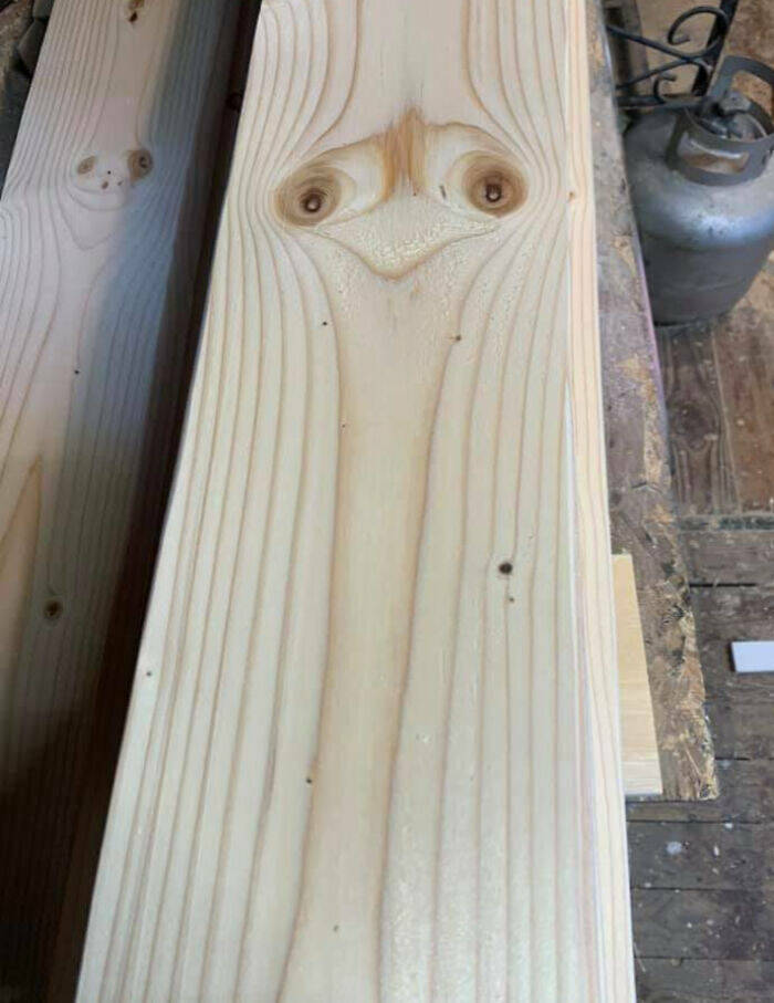 Photos Balancing Perfectly Between Blessed and Cursed