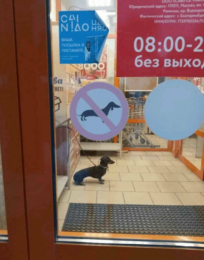 Photos Balancing Perfectly Between Blessed and Cursed