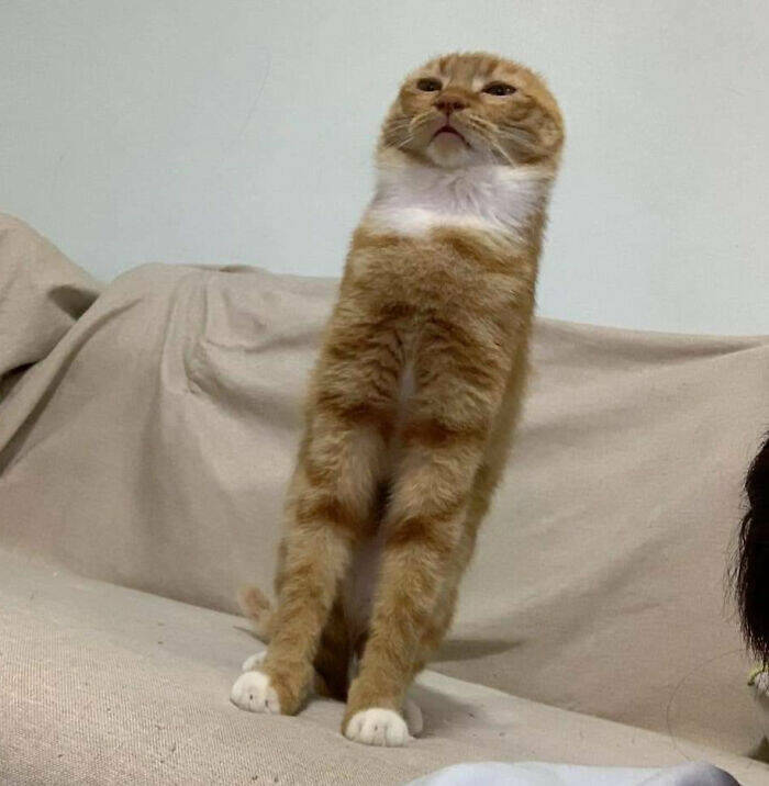 Photos Balancing Perfectly Between Blessed and Cursed