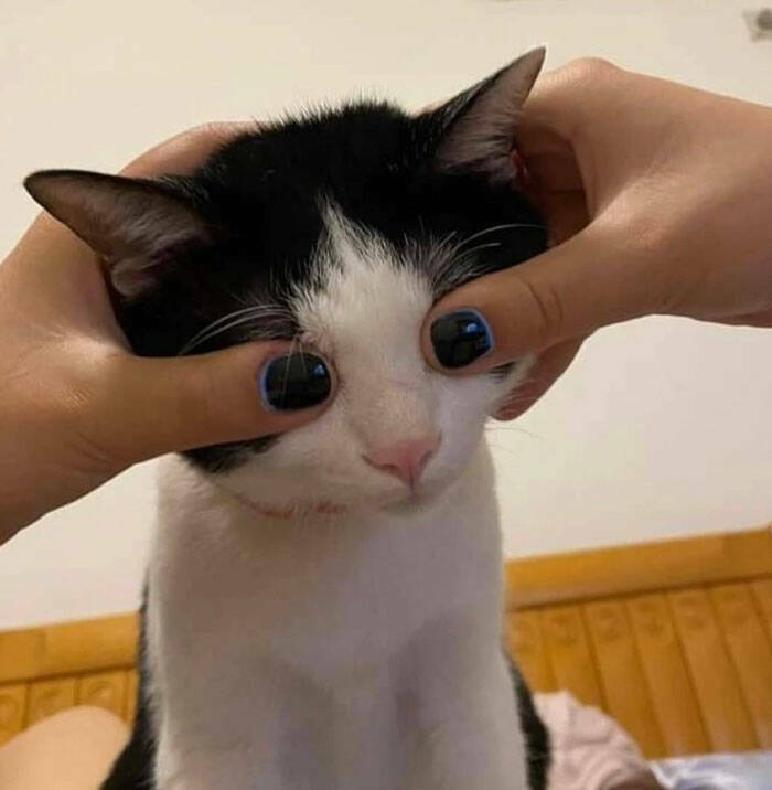 Photos Balancing Perfectly Between Blessed and Cursed