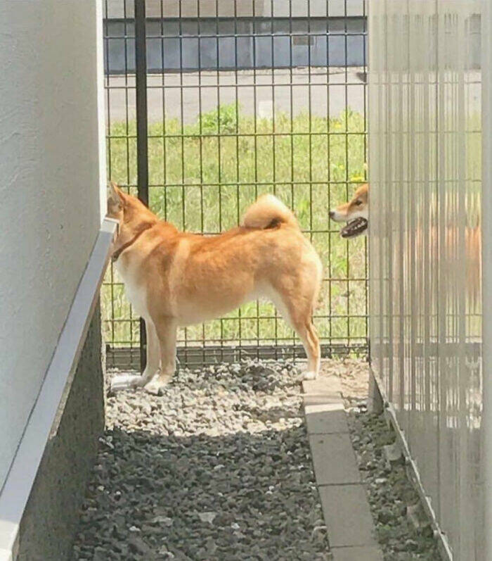 Photos Balancing Perfectly Between Blessed and Cursed