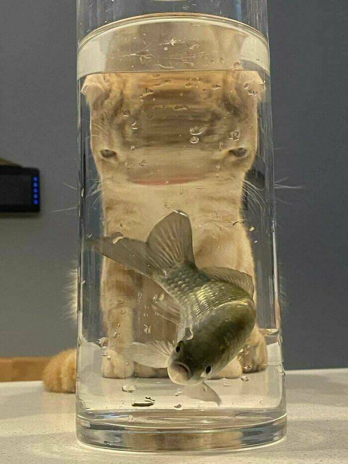 Photos Balancing Perfectly Between Blessed and Cursed