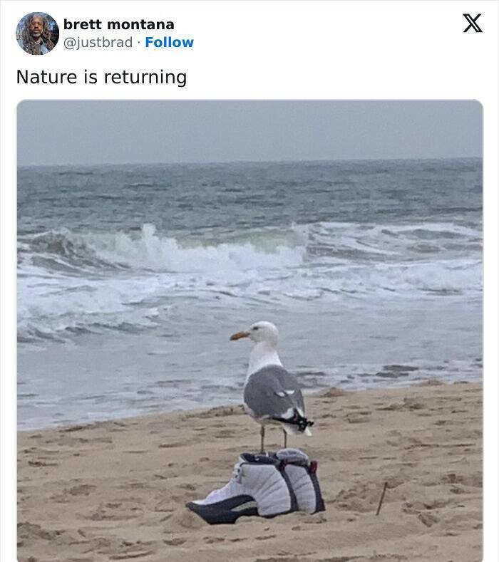 Photos Balancing Perfectly Between Blessed and Cursed