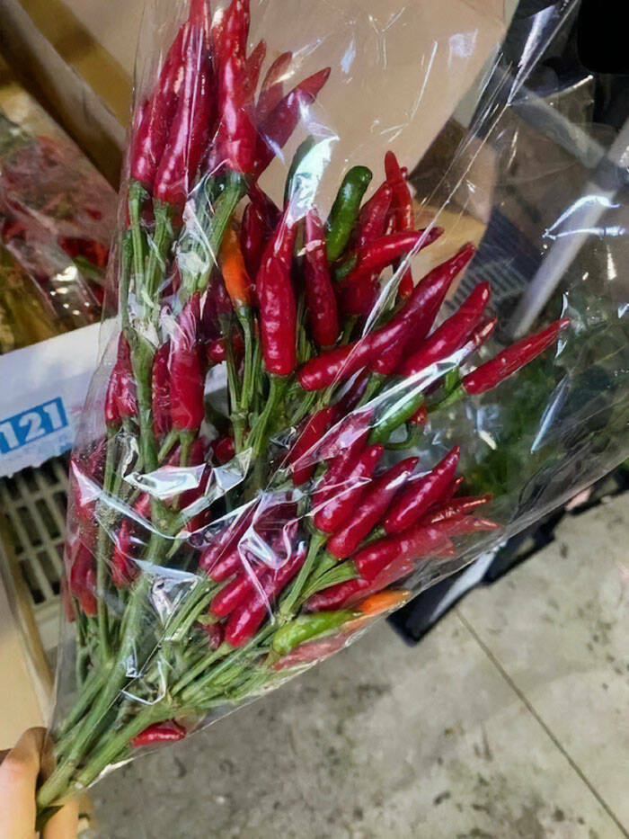 Photos Balancing Perfectly Between Blessed and Cursed