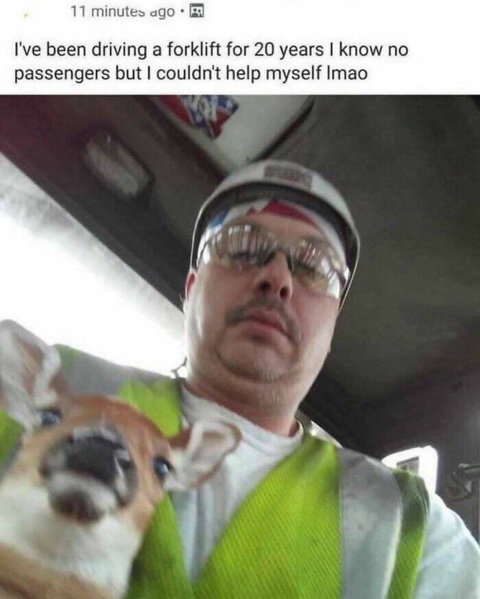 Pics That “Go Hard” Pics That “Go Hard”