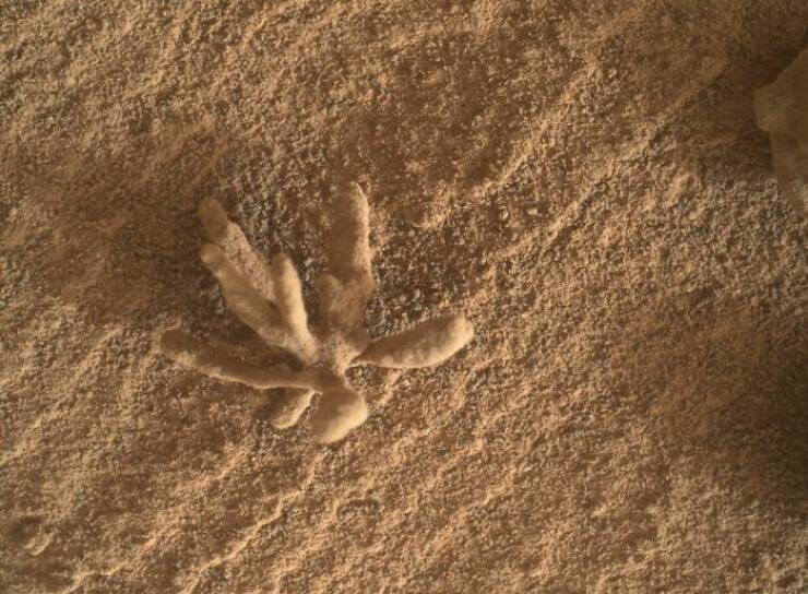 Stunning Space Photos That’ll Leave You Starstruck