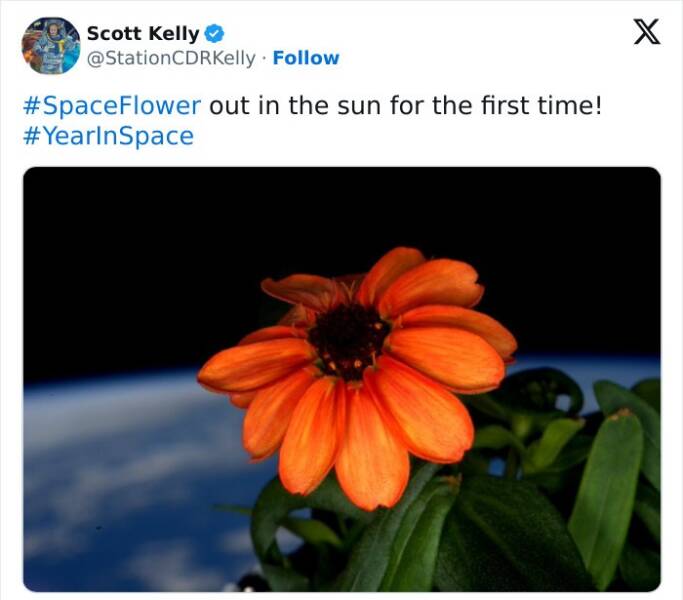 Stunning Space Photos That’ll Leave You Starstruck