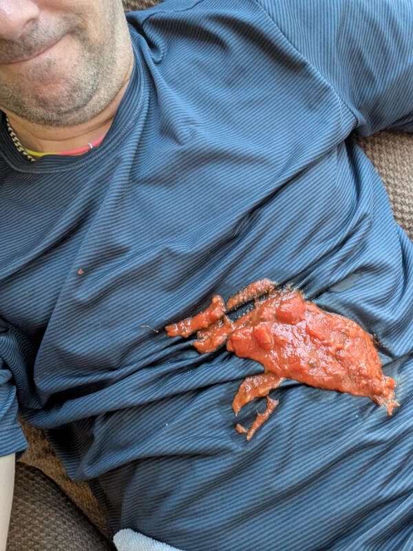 The Definition Of A Bad Day