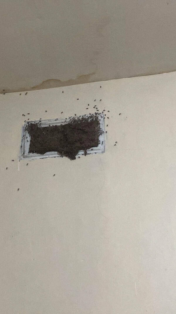 The Definition Of A Bad Day