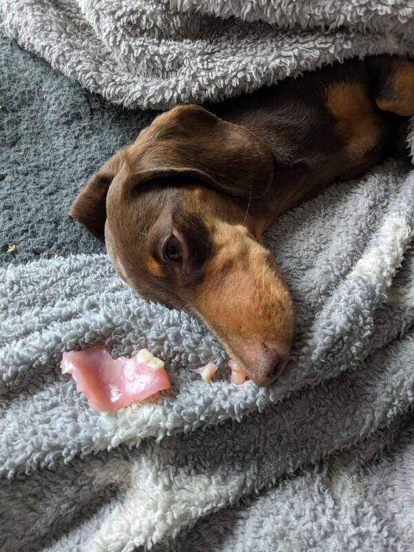 The Definition Of A Bad Day