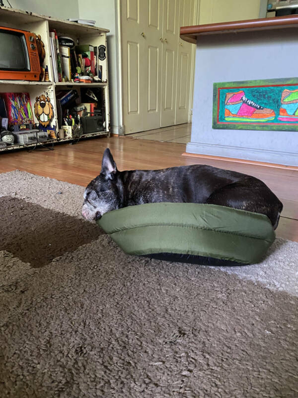 The Definition Of A Bad Day