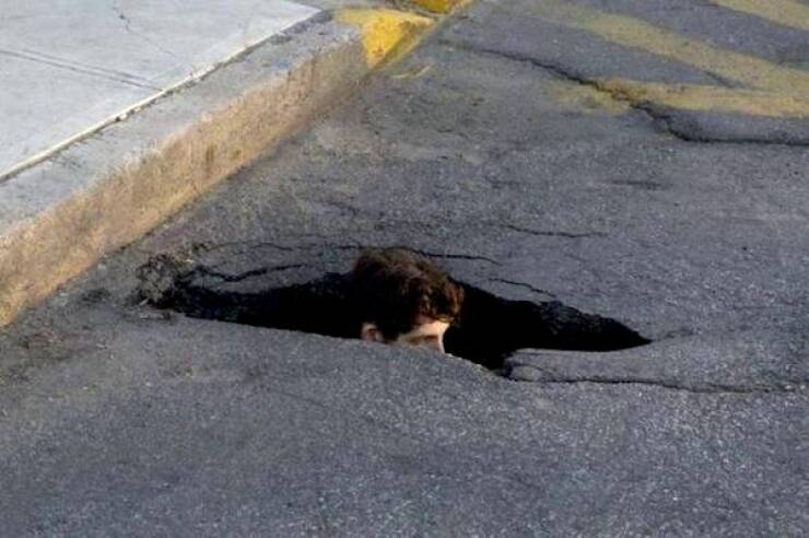 Daily Picdump Daily Picdump