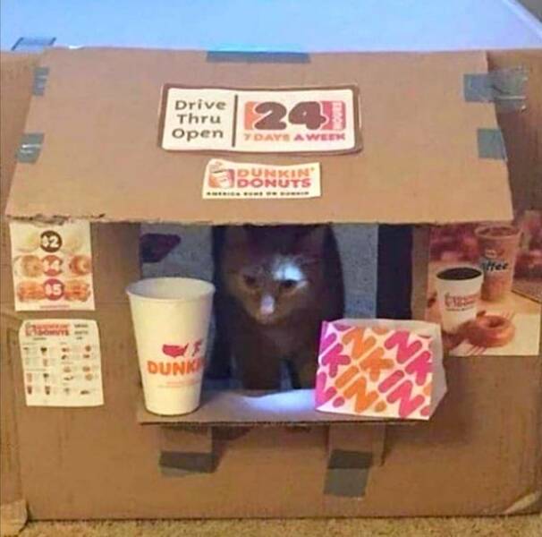 Daily Picdump Daily Picdump