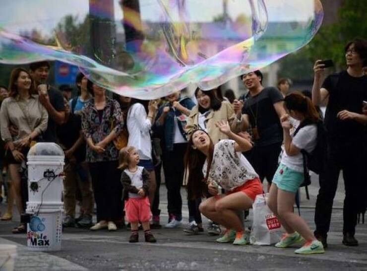 Daily Picdump Daily Picdump