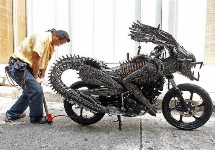 Daily Picdump