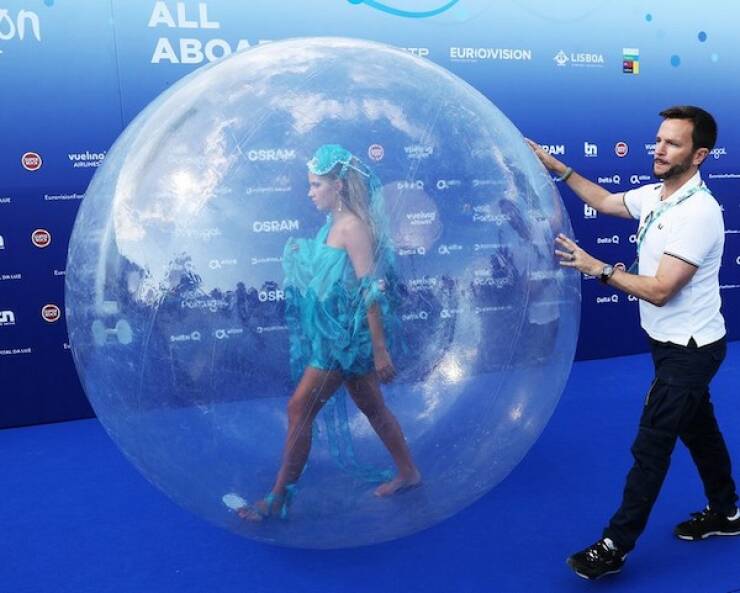 Daily Picdump