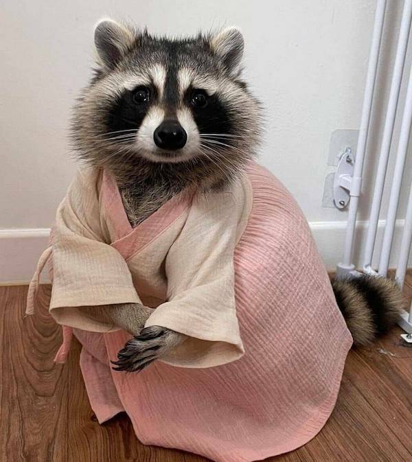 Daily Picdump Daily Picdump