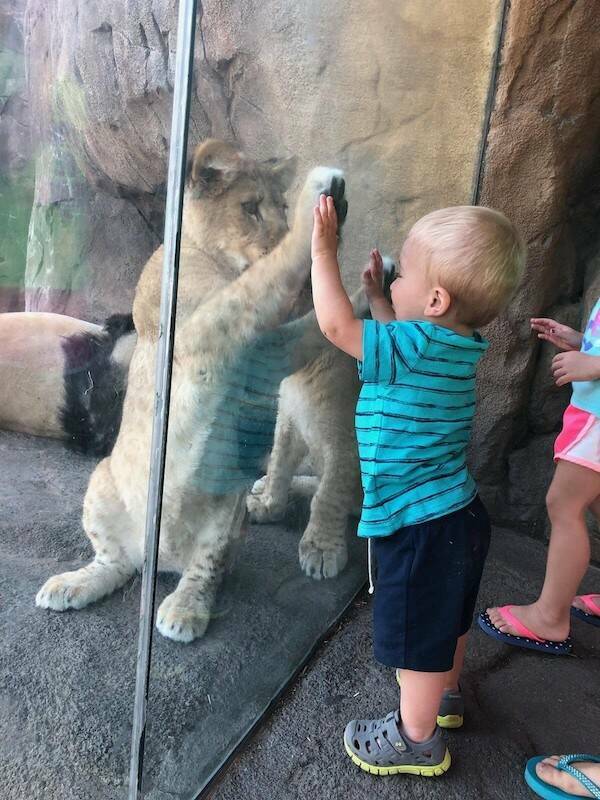 Daily Picdump Daily Picdump