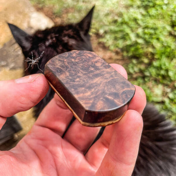 Intriguing Pics That Spark Endless Questions