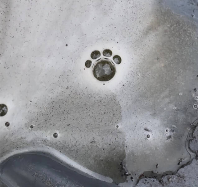 Intriguing Pics That Spark Endless Questions