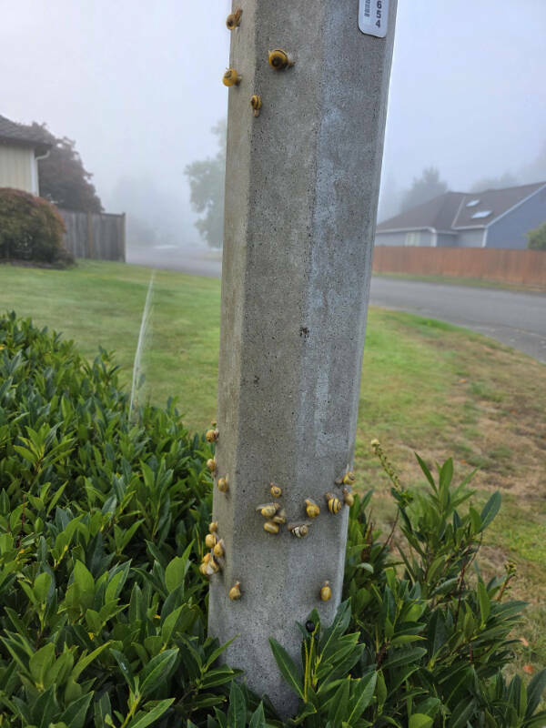 Intriguing Pics That Spark Endless Questions