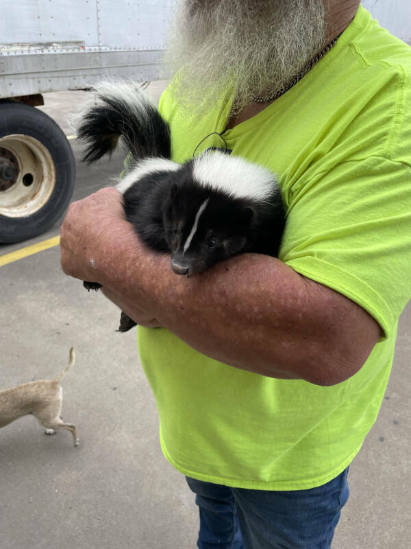 Intriguing Pics That Spark Endless Questions