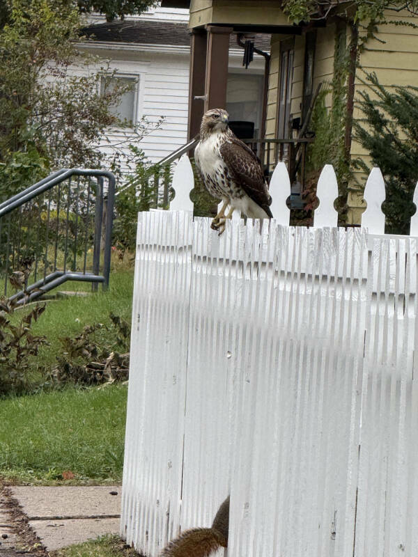 Intriguing Pics That Spark Endless Questions