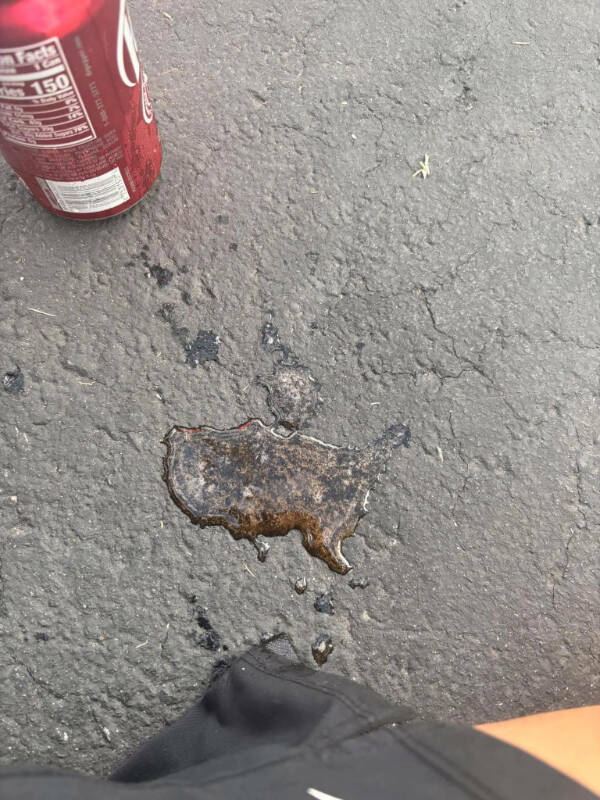 Intriguing Pics That Spark Endless Questions