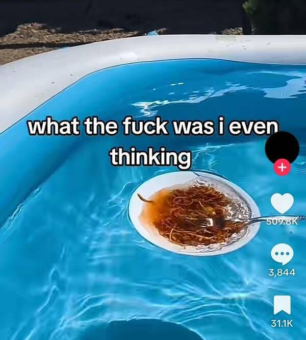 Ridiculously Stupid Photos You Can’t Help But Laugh At