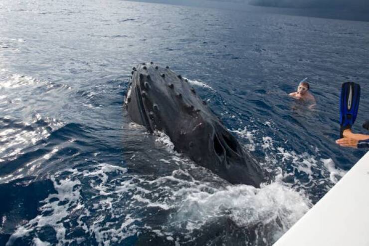 Stunning Images That’ll Leave You in Awe