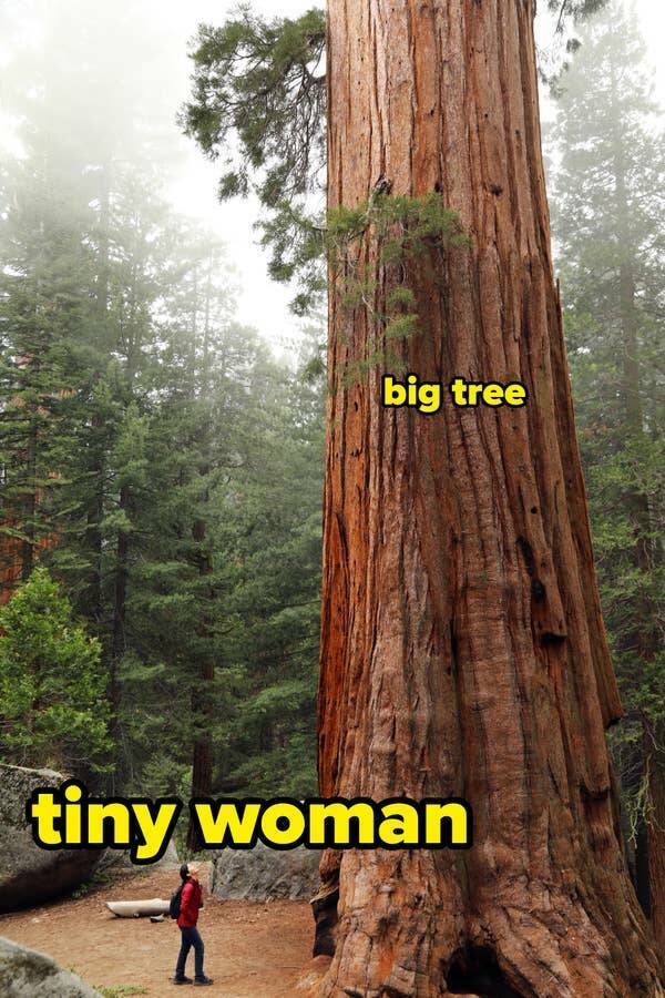 Stunning Images That’ll Leave You in Awe