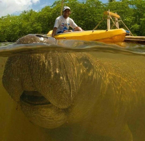 Hilarious Photobombs That Stole the Spotlight Perfectly