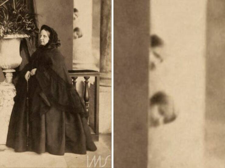 Hilarious Photobombs That Stole the Spotlight Perfectly Hilarious Photobombs That Stole the Spotlight Perfectly