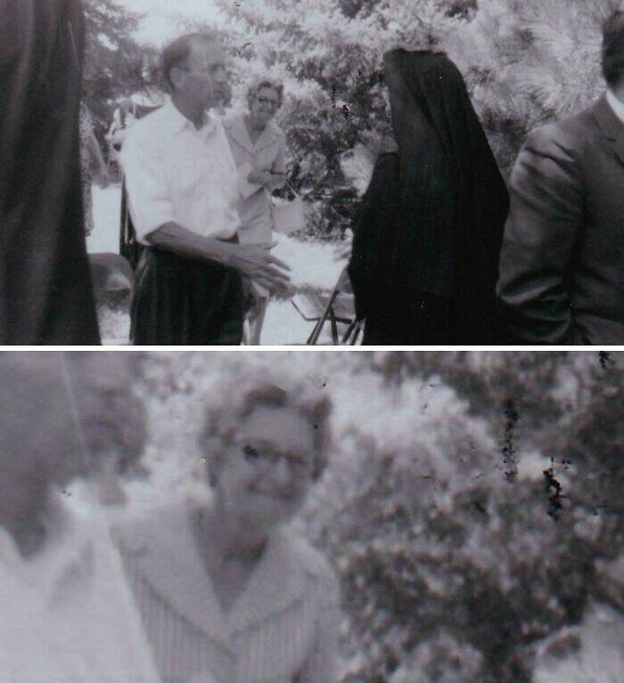 Hilarious Photobombs That Stole the Spotlight Perfectly