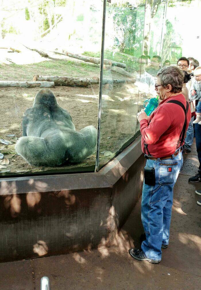 Hilarious Photobombs That Stole the Spotlight Perfectly