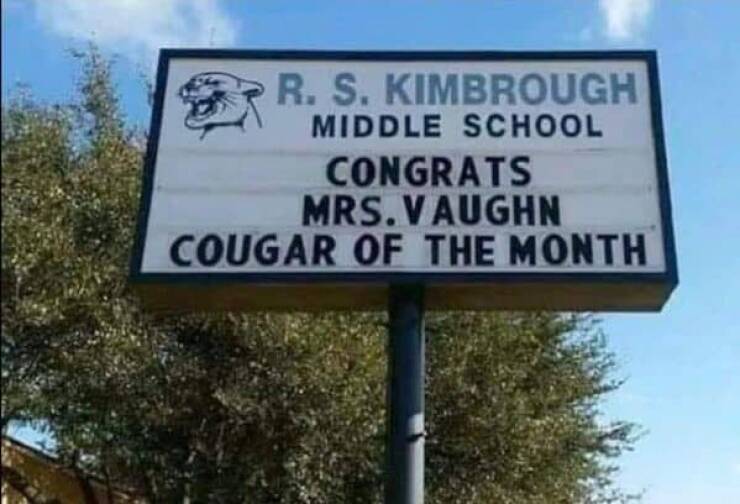 Hilarious Road Signs Delivering Truth, One Pothole at a Time Hilarious Road Signs Delivering Truth, One Pothole at a Time