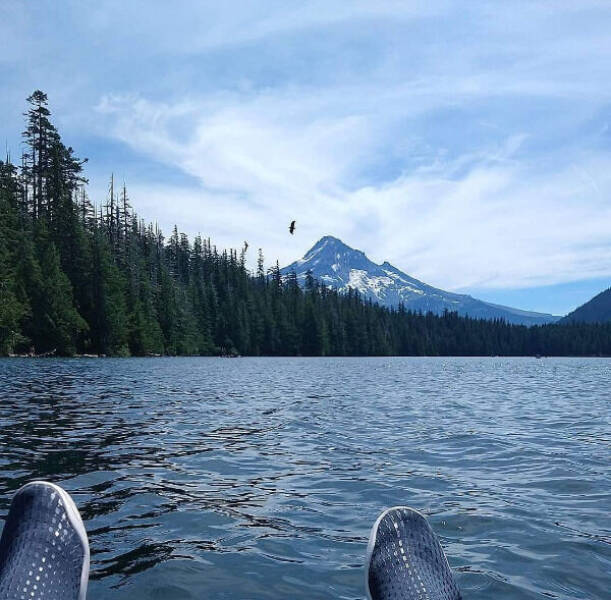 Irresistibly Cool Things Everyone Secretly Wants