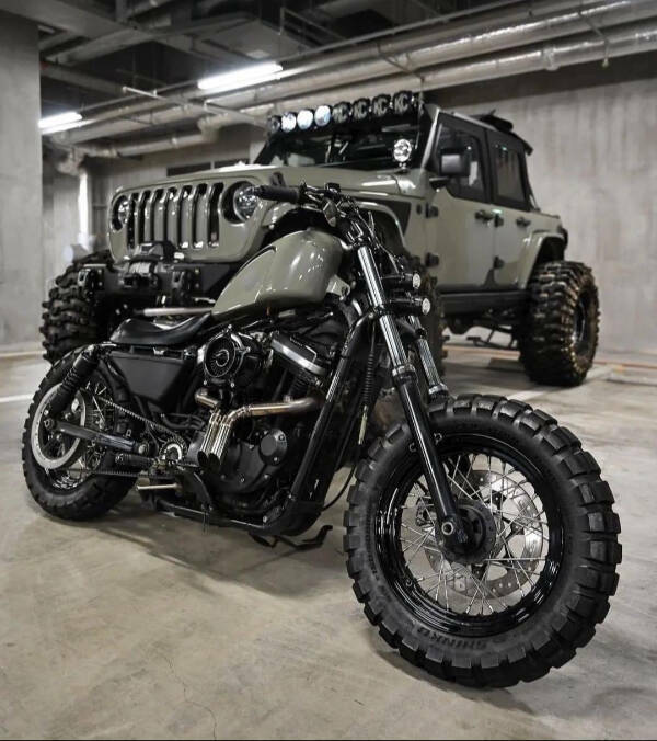 Irresistibly Cool Things Everyone Secretly Wants