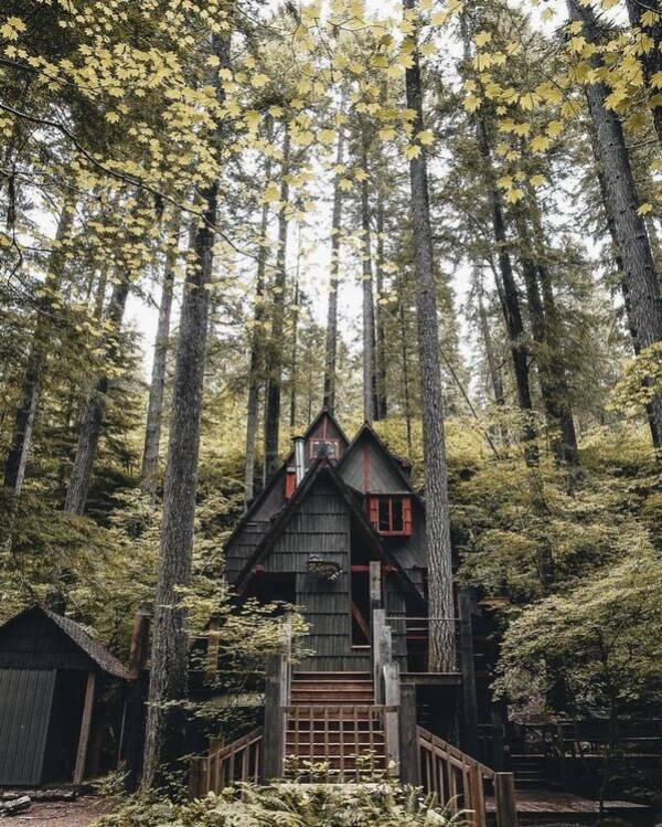 Irresistibly Cool Things Everyone Secretly Wants