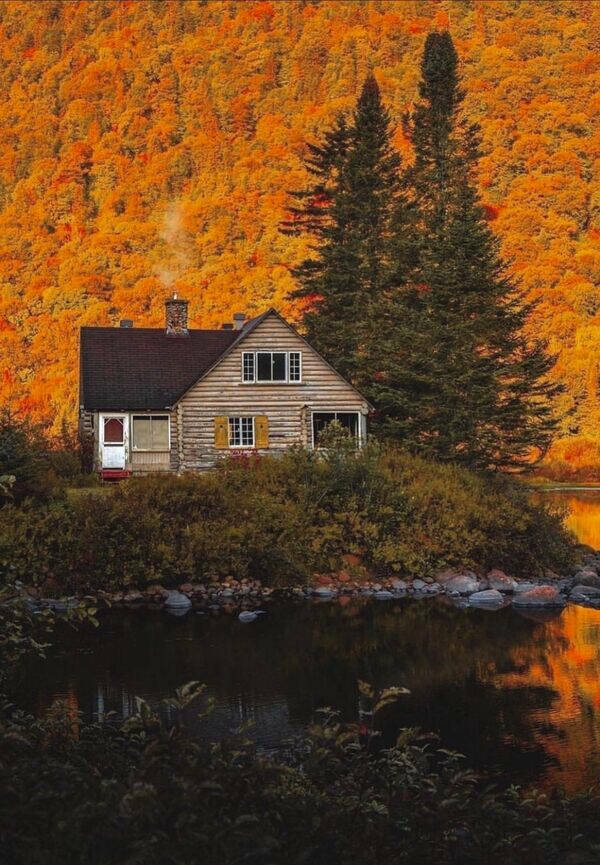 Irresistibly Cool Things Everyone Secretly Wants