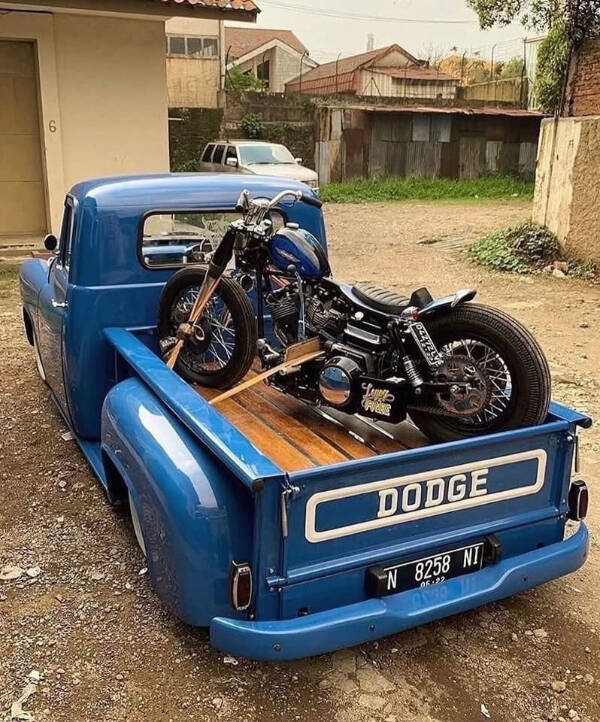 Irresistibly Cool Things Everyone Secretly Wants