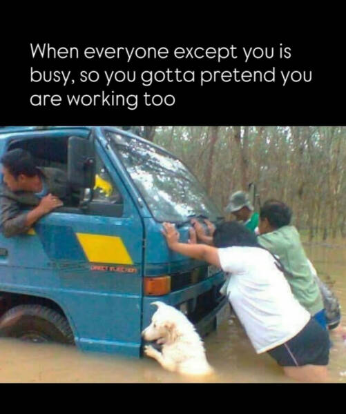 Pure Meme Chaos: No Context, Just Laughs