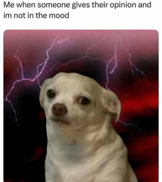 Pure Meme Chaos: No Context, Just Laughs