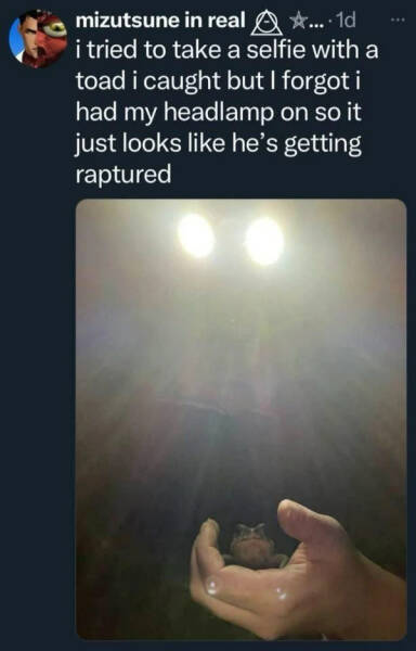 Pure Meme Chaos: No Context, Just Laughs