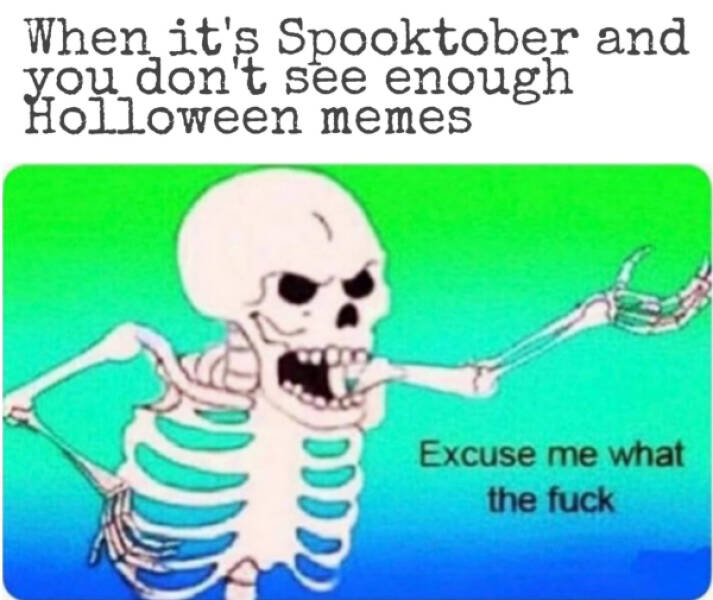 Pure Meme Chaos: No Context, Just Laughs