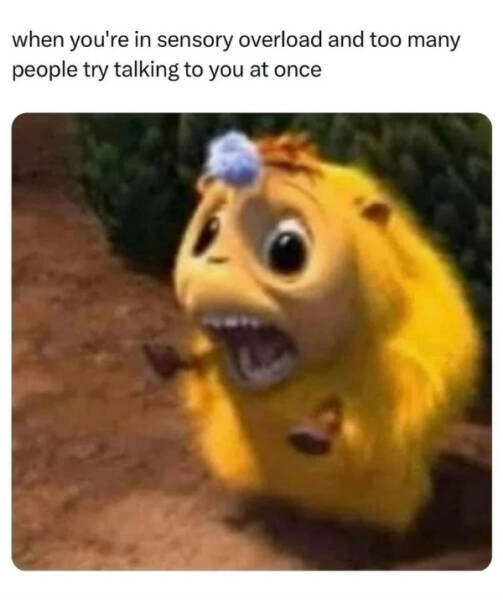 Pure Meme Chaos: No Context, Just Laughs