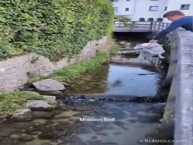 Rescue Operation