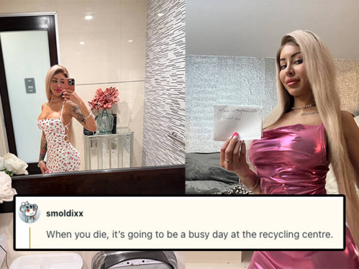 Savage Roasts That Left No Survivors Savage Roasts That Left No Survivors